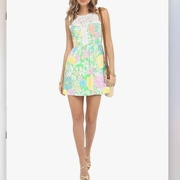 Lilly Pulitzer Raegan Dress Hibiscus Stroll - Picture 1 of 5